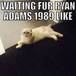 Taylor Swift et son chat assurent la promotion du nouvel album de Ryan Adams, 1989, un album de reprises des titres de la chanteuse / photo postée sur Instagram.