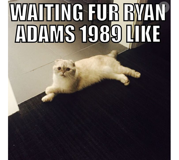 Taylor Swift et son chat assurent la promotion du nouvel album de Ryan Adams, 1989, un album de reprises des titres de la chanteuse / photo postée sur Instagram.