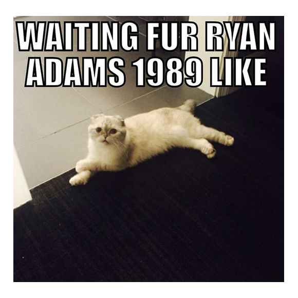 Taylor Swift et son chat assurent la promotion du nouvel album de Ryan Adams, 1989, un album de reprises des titres de la chanteuse / photo postée sur Instagram.