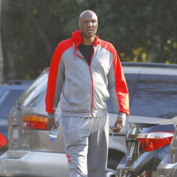 Lamar Odom se promène au Fryman Canyon Park à Studio City, le 25 février 2015.