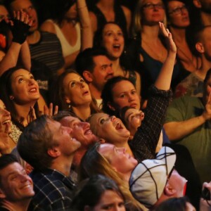 Sean Penn, Amy Schumer et Jeanne Tripplehorn assistent au concert de Madonna à Vancouver au Canada, Rebel Heart Tour, le 14 octobre 2015.