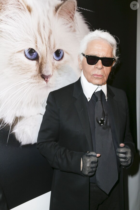 Fergie en Choupette et Josh Duhamel en Karl Lagerfeld arrivent à la soirée d'Halloween de la marque Casamigos le 30 octobre 2015