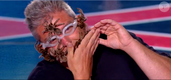 Un homme le visage couvert par les mygales, dans Incroyable Talent saison 10 (épisode 3), le mardi 3 novembre 2015 sur M6.