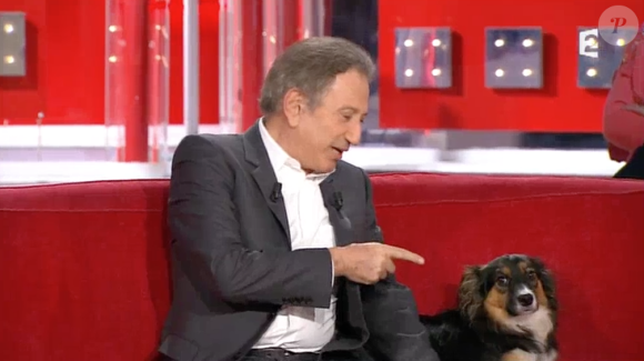 La chienne de Michel Drucker a mordu Véronique Jannot lors du tournage de l'émission Vivement dimanche sur France 2. Novembre 2015.