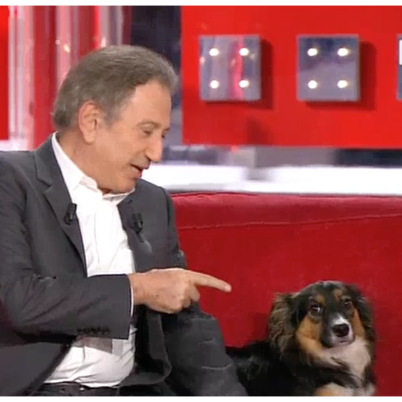 La chienne de Michel Drucker a mordu Véronique Jannot lors du tournage de l'émission Vivement dimanche sur France 2. Novembre 2015.