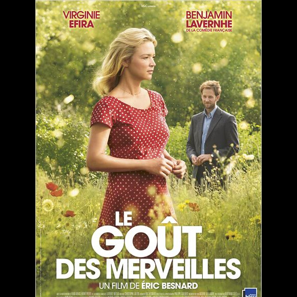 Affiche du film Le Goût des merveilles