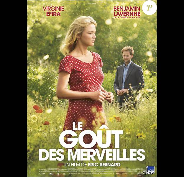 Affiche du film Le Goût des merveilles