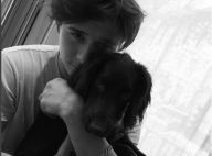 Olive Beckham : La petite chienne de la famille Beckham, star inattendue du Web