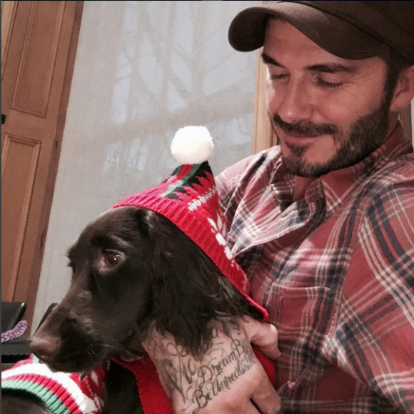 David Beckham et sa petite chienne Olive, prête pour les fêtes de Noël - Photo publiée le 7 décembre 2015