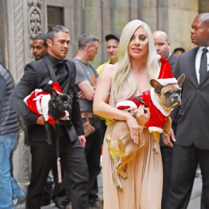 Lady Gaga et son compagnon Taylor Kinney arrivent avec leurs chiens, Miss Asia and Koji déguisés en père Noël à New York le 11 décembre 2015. © CPA/Bestimage
