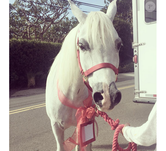 John Janick et Steve Berman ont offert un cheval à Noël à la popstar Lady Gaga / Photo postée sur le compte Instagram de Lagy Gaga, le 22 décembre 2015.