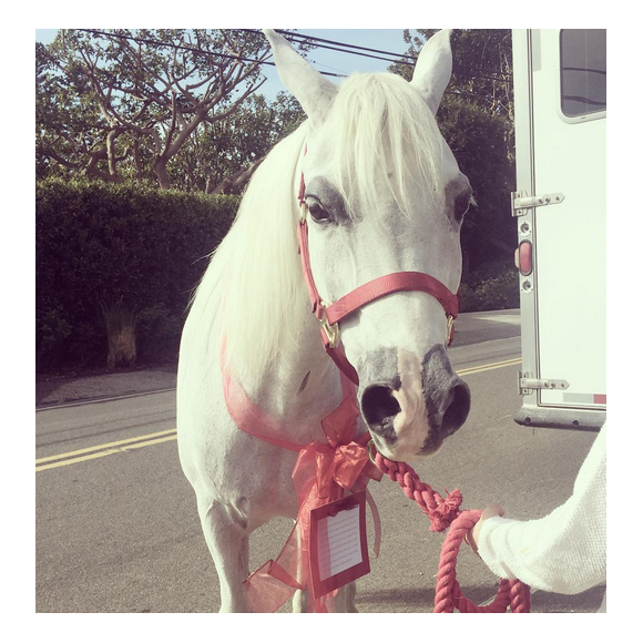 John Janick et Steve Berman ont offert un cheval à Noël à la popstar Lady Gaga / Photo postée sur le compte Instagram de Lagy Gaga, le 22 décembre 2015.