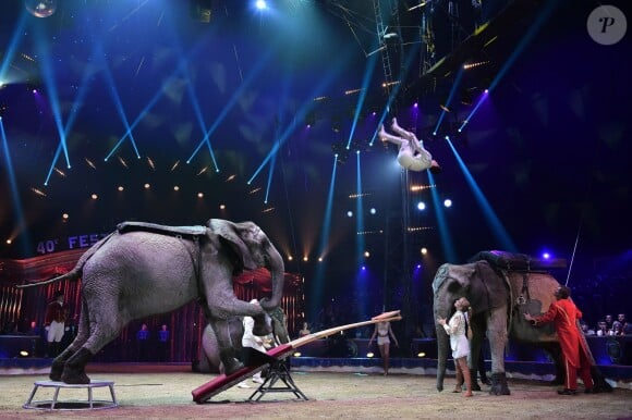 La famille Cassely et ses éléphants - 40e Festival International du Cirque de Monte-Carlo au chapiteau de Fontvieille à Monaco, le 14 janvier 2016. © Gaetan Luci/Pool Monaco/Bestimage
