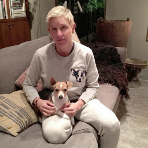 Ellen DeGeneres et son chien Augit. Photo publiée sur Instagram au mois de janvier 2016.