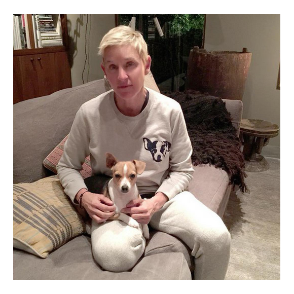 Ellen DeGeneres et son chien Augit. Photo publiée sur Instagram au mois de janvier 2016.