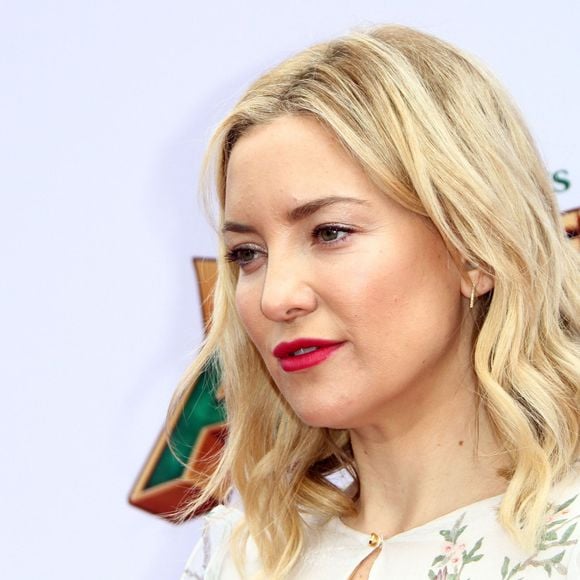 Kate Hudson - Célébrités à la première de Kung Fu Panda 3 au théâtre "TCL Chinese" de Hollywood le 16 janvier 2016.