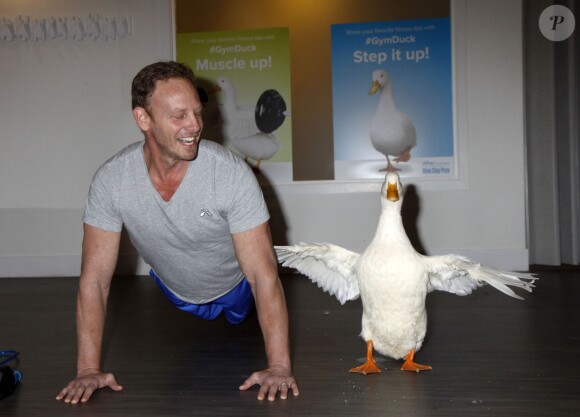Ian Ziering pose avec le canard de la compagnie d'assurances Aflac à la soirée d’inauguration de 'Duck Hits The Gym' à New York. Aflac est une entreprise américaine basée à Columbus, en Géorgie, et qui vend des assurances vie et des complémentaires santé aux États-Unis et au Japon. Le 3 décembre 2015