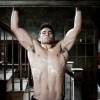 Tyler Hoechlin dans Teen Wolf