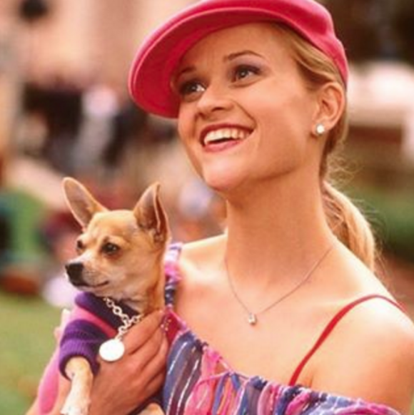 Reese Witherspoon et le chien Moonie (Bruiser Woods dans le film) - La Revanche d'une blonde