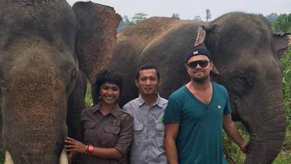 Leonardo DiCaprio milite pour des éléphants et "se lâche" avec Jennifer Lopez