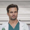 Scott Elrod incarne le personnage Will Thorpe dans la saison 12 de Grey's Anatomy