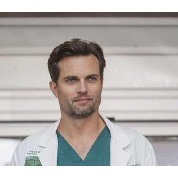 Scott Elrod incarne le personnage Will Thorpe dans la saison 12 de Grey's Anatomy