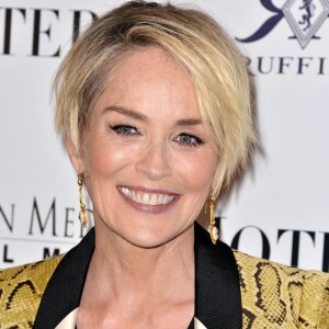 Sharon Stone lors de la première de Mothers And Daughters à Los Angeles, le 28 avril 2016.