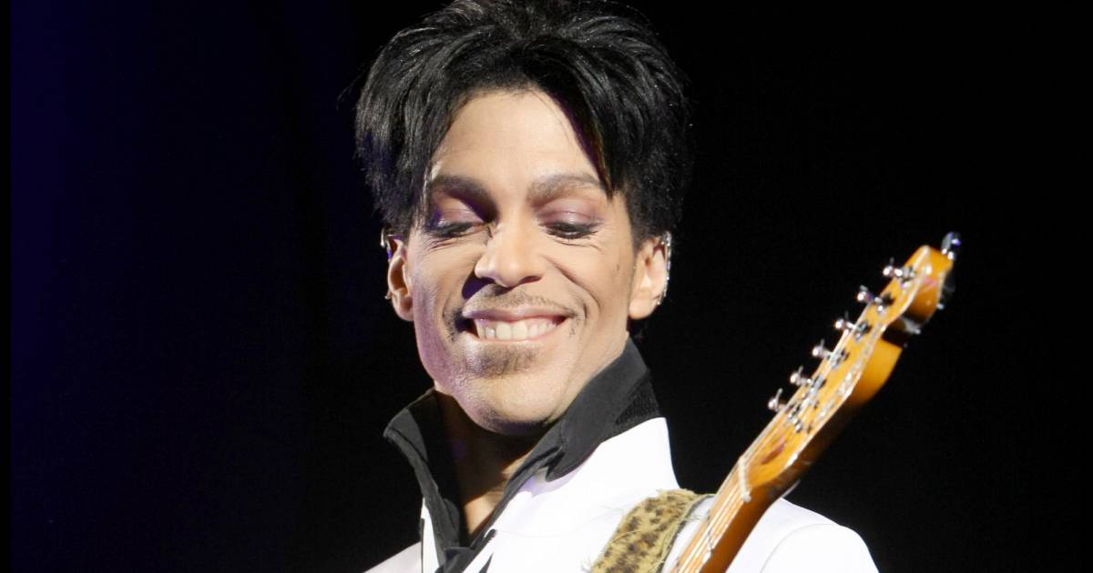Concert du chanteur Prince au Grand Palais à Paris en novembre 2009 ...