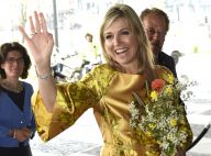 Maxima des Pays-Bas : La reine sort la carte "gold" pour ses 45 ans