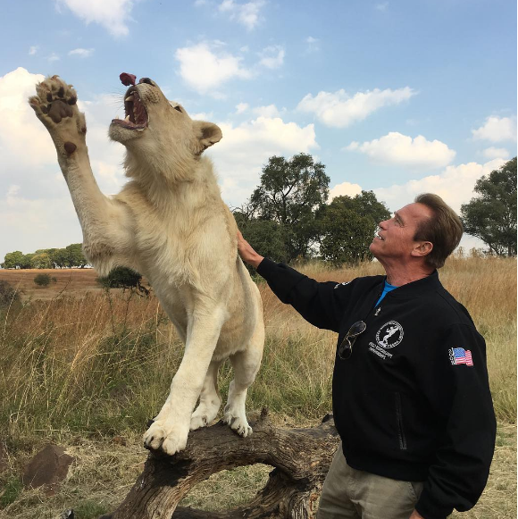 Arnold Schwarzenegger est en Afrique du Sud pour soutenir son festival spotif Arnold Sports South Africa. Photo publiée sur Instagram à la fin du mois de mai 2016