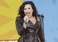 Demi Lovato en couple avec un beau gosse des arts martiaux...