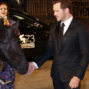 Chris Pratt lors de l'avant-première de The Magnificent Seven (Les Sept Mercenaires) d'Antoine Fuqua en clôture de la 73e Mostra de Venise, le 10 septembre 2016. © Future-Image/Zuma Press/Bestimage