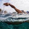 Adrian Grenier a participé au Virgin Strive Challenge 2016, en septembre 2016, traversant à la nage le détroit de Messine au profit des associations Make A Splash et Lonely Whale. Instagram de Sam Branson.