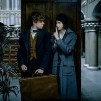 Harry Potter : Une énorme star hollywoodienne rejoint "Les Animaux fantastiques"