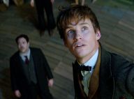 Les Animaux fantastiques explose le box-office aux quatre coins du monde