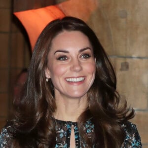 Kate Middleton, duchesse de Cambridge, lors d'une tea party au Museum d'histoire naturelle de Londres le 22 novembre 2016 pour dire au revoir à Dippy, le diplodocus emblématique de l'établissement, en compagnie d'enfants d'une école travaillant avec Place2Be dont elle est la marraine.