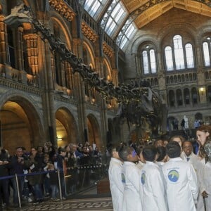 Kate Middleton, duchesse de Cambridge, lors d'une tea party au Museum d'histoire naturelle de Londres le 22 novembre 2016 pour dire au revoir à Dippy, le diplodocus emblématique de l'établissement, en compagnie d'enfants d'une école travaillant avec Place2Be dont elle est la marraine.