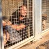 Rémi Gaillard est resté 4 jours enfermé dans une cage de la SPA de Montpellier pour susciter l'adoption des animaux abandonnés et des dons. Il a récolté 200 000 euros. Photo publiée sur Instagram en novembre 2016