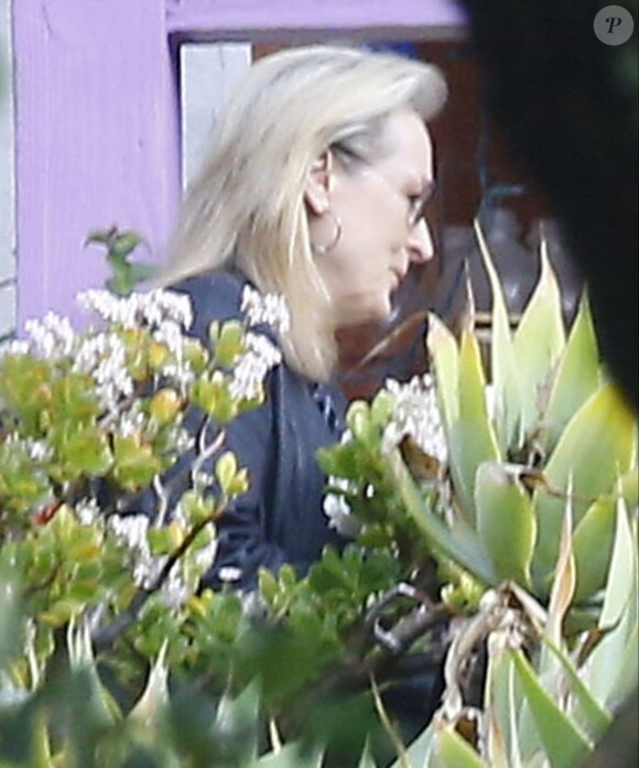 Meryl Streep - Cérémonie en hommage à Carrie Fisher dans sa propriété à Beverly Hills le 5 janvier 2017 - Los Angeles