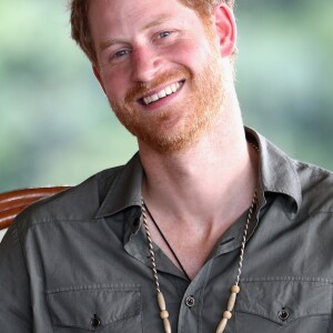 Le prince Harry en Guyane dans le cadre de son voyage aux Caraïbes, visite le village de Surama le 3 décembre 2016.