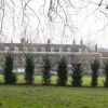 Des jardiniers étaient à l'oeuvre du côté ouest du terrain de Kensington Palace à Londres le 27 janvier 2017 pour planter une haie d'ifs de 250 mètres en prévision de l'installation à temps plein du prince William, de la duchesse de Cambridge et de leurs enfants George et Charlotte.