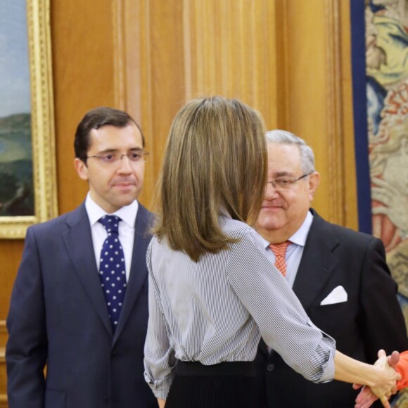 La reine Letizia d'espagne assiste à une audience avec les représentants de la fondation "Vianorte-Laguna" à Madrid le 15 février 2017.