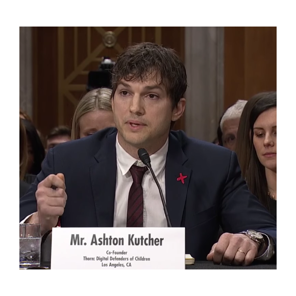 Ashton Kutcher face au Sénat américain, le 15 février 2017. (capture d'écran)