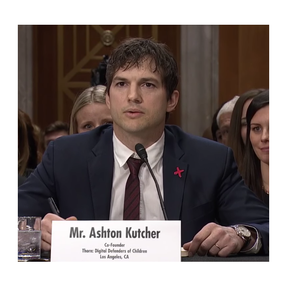 Ashton Kutcher face au Sénat américain, le 15 février 2017. (capture d'écran)
