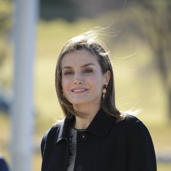 La reine Letizia d'Espagne participait le 1er mars 2017 à Avila à la clôture du congrès sur les femmes et les personnes handicapées.