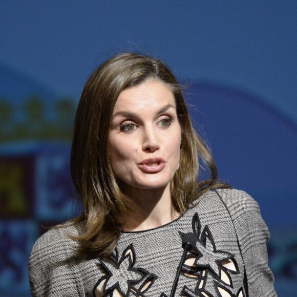 La reine Letizia d'Espagne participait le 1er mars 2017 à Avila à la clôture du congrès sur les femmes et les personnes handicapées.