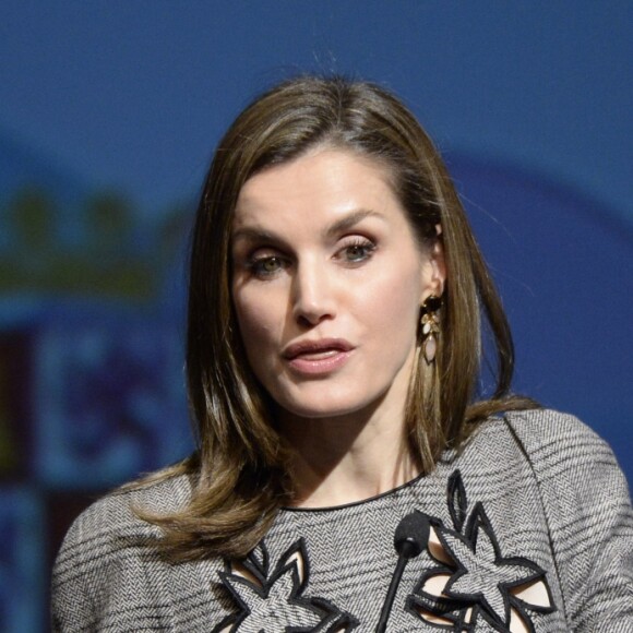 La reine Letizia d'Espagne participait le 1er mars 2017 à Avila à la clôture du congrès sur les femmes et les personnes handicapées.