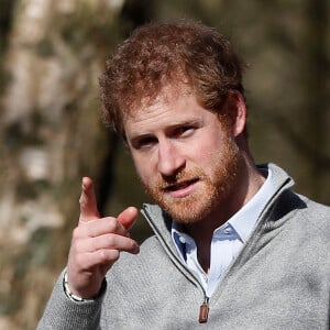 Le prince Harry visite le Field Studies Centre à la High Beach dans la forêt d'Epping à Epping, le 15 mars 2017.