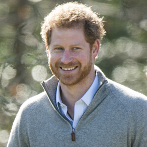 Le prince Harry visite la forêt d'Epping dans le cadre du projet '' Wood Pasture Restoration Project'' à Epping, le 15 mars 2017.