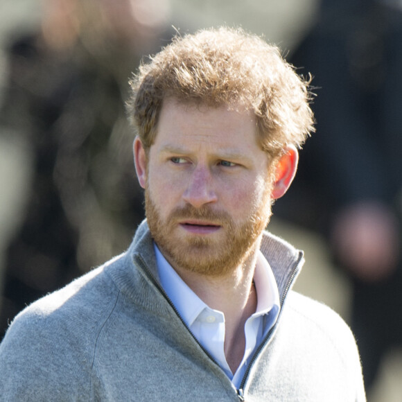 Le prince Harry visite la forêt d'Epping dans le cadre du projet '' Wood Pasture Restoration Project'' à Epping, le 15 mars 2017.